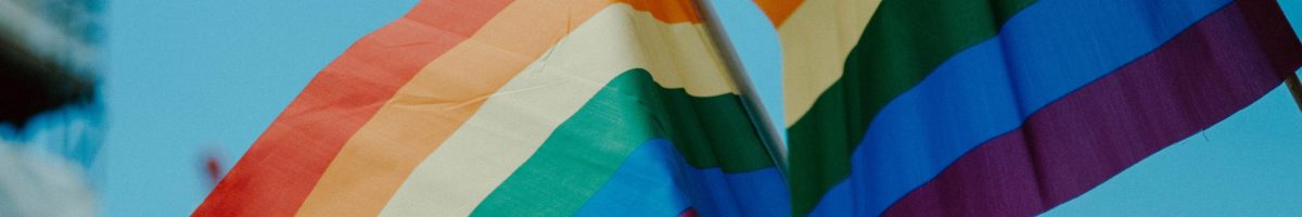 daniel-james-Dhw68hz9KbA-unsplash